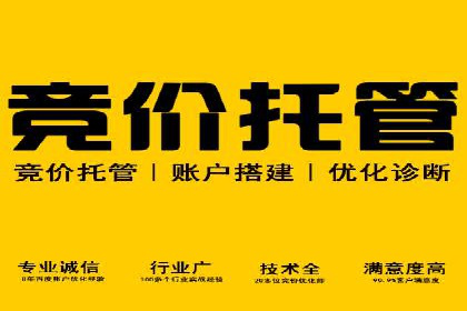 SEM竞价广告投放的五大成功案例分享